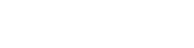 WZT